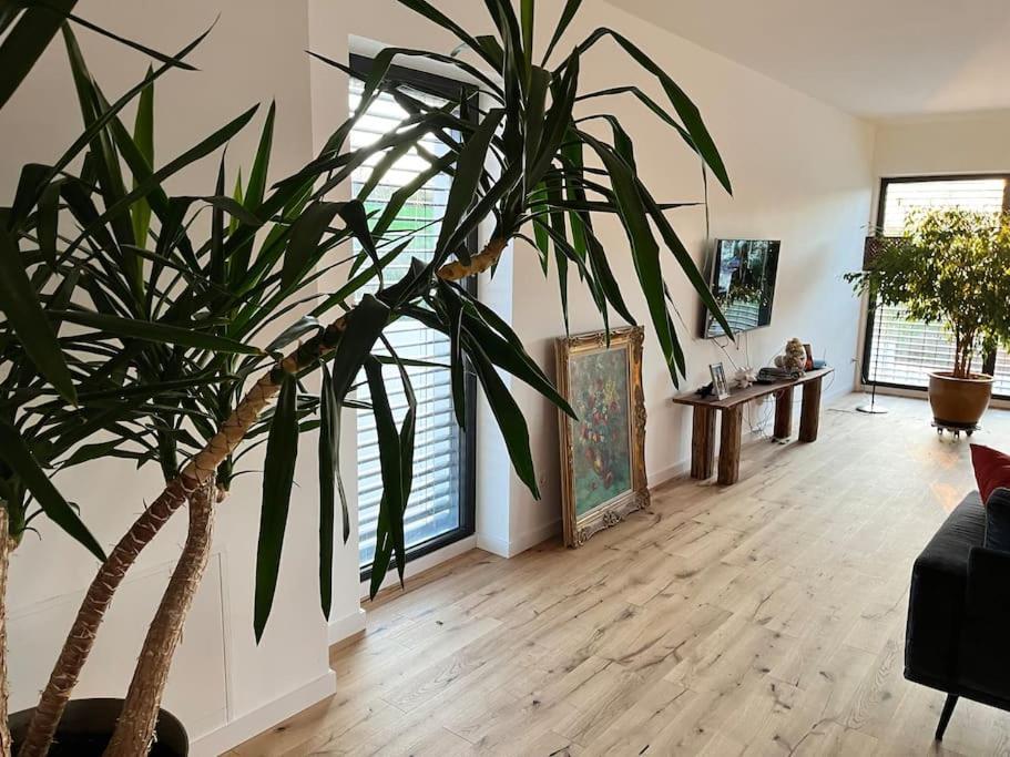 Maison Petite Suisse Luxembourg Berdorf Εξωτερικό φωτογραφία