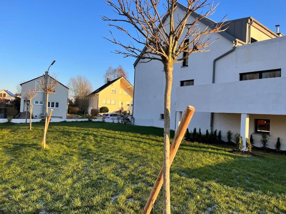 Maison Petite Suisse Luxembourg Berdorf Εξωτερικό φωτογραφία